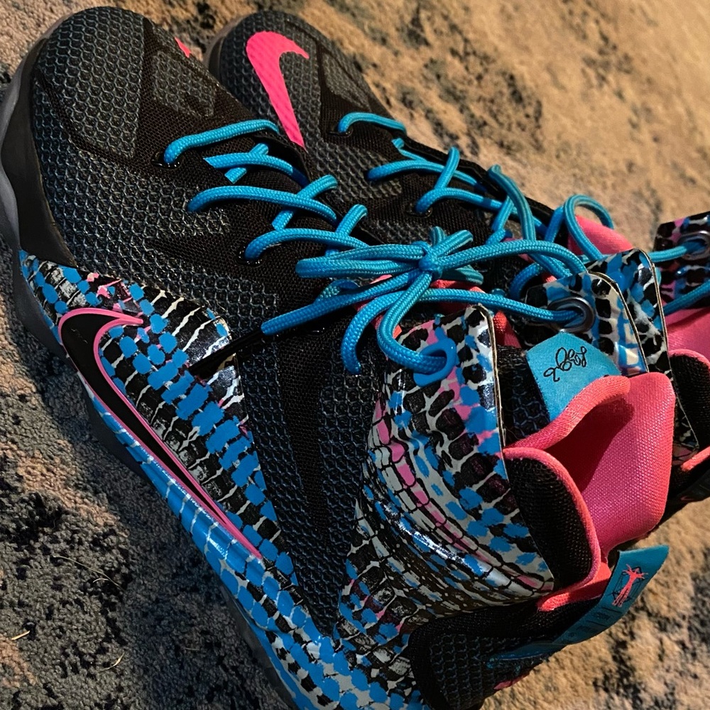 Multicolor Lebrons
